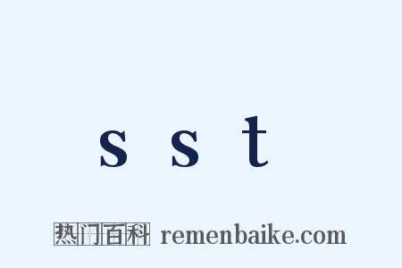 sst是什么意思的图片